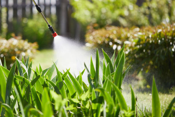 24/7 Emergency Mosquito Control experts in Berkeley, CA