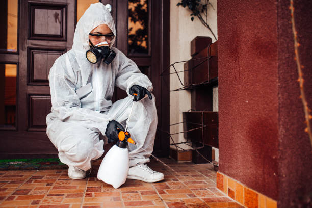 Reliable Mosquito Control contractor in Berkeley, CA by Show Me Pest Control